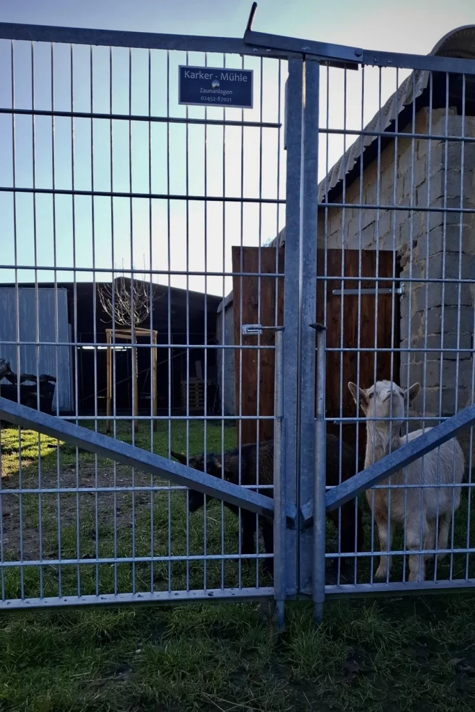 2026_iwerk_spende_schulbauernhof_gangelt_birgden_zaun_scaled